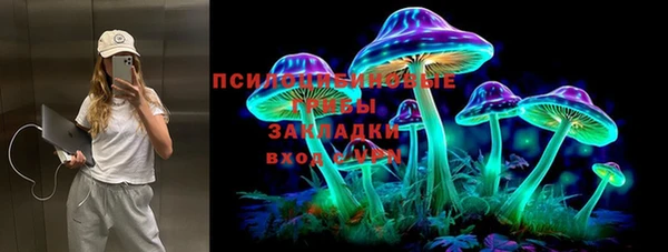 стафф Абаза