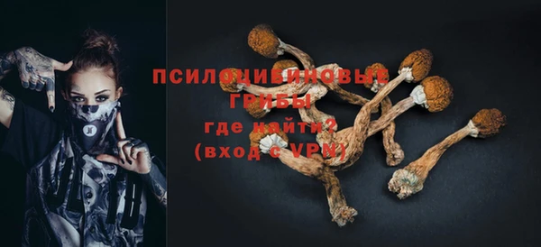 крисы Абдулино