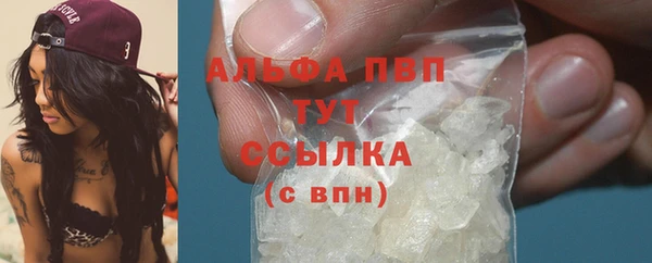 крисы Абдулино