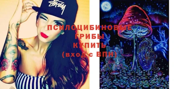 крисы Абдулино
